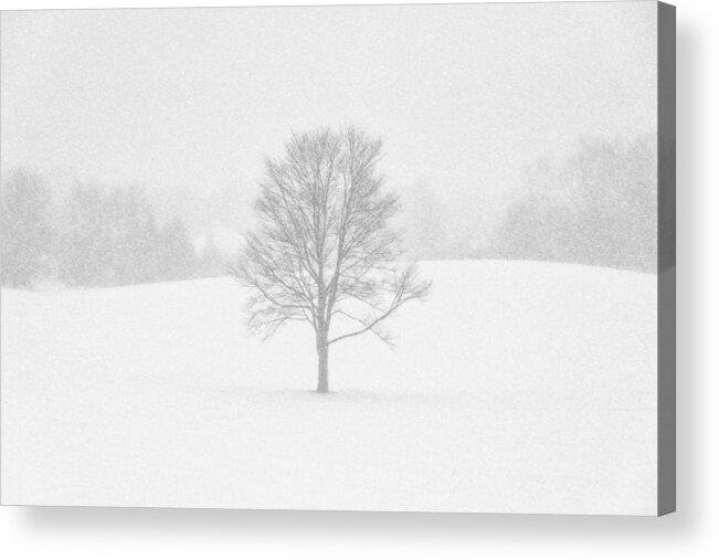 Hartville Acrylic Print featuring the photograph Ohio Winter Whiteout 1 by Matt Hammerstein