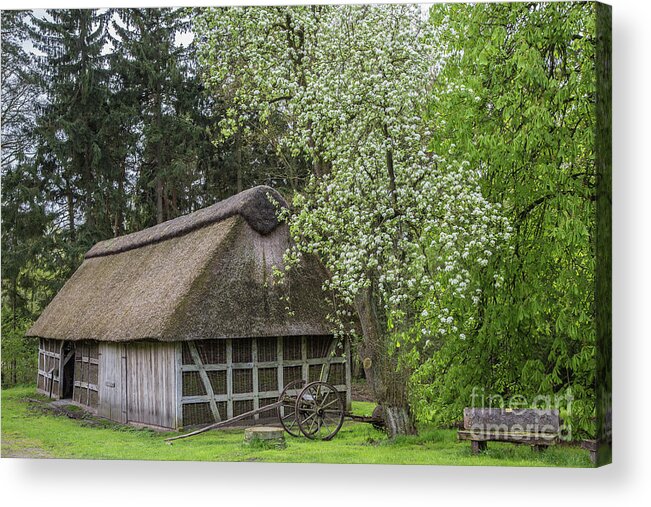 Barn Acrylic Print featuring the photograph Old Barn in Spring by Eva Lechner