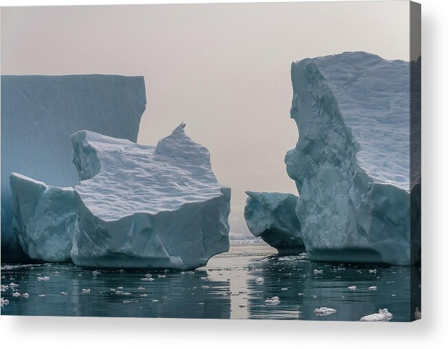 Antarctica Acrylic Print featuring the photograph One Cube or Two by Alex Lapidus