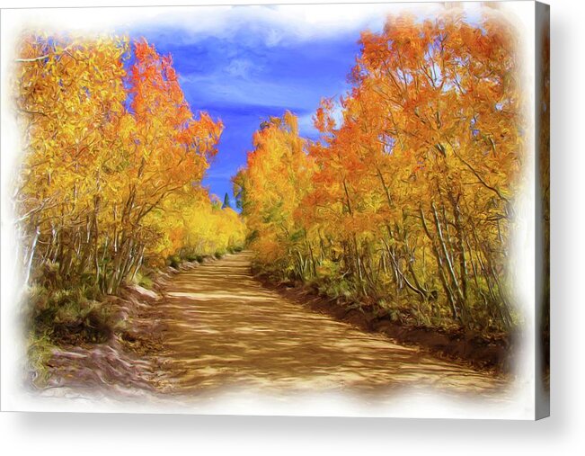 Aspens Acrylic Print featuring the photograph Painted Aspens by Steph Gabler