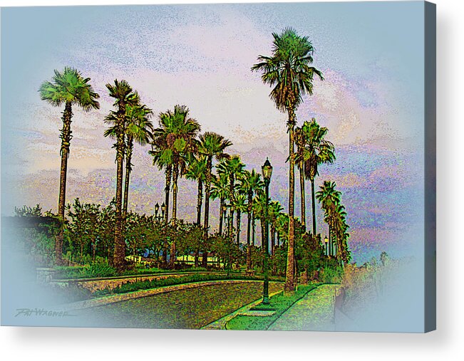 Palm Acrylic Print featuring the photograph Palms in The Mist by Pat Wagner