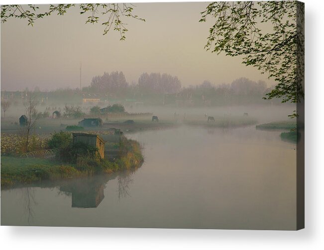 North Holland Acrylic Print featuring the photograph Pastel Morning by Jan Koldijk