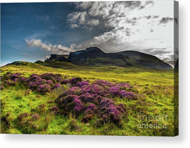 Abandoned Acrylic Print featuring the photograph Pasture With Blooming Heather In Scenic Mountain Landscape At The Old Man Of Storr Formation On The by Andreas Berthold