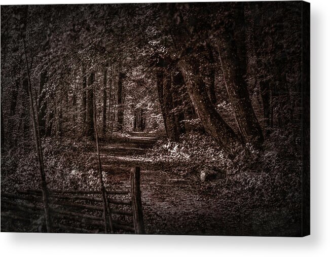 Path In Forest Acrylic Print featuring the photograph Path In Forest #i0 by Leif Sohlman