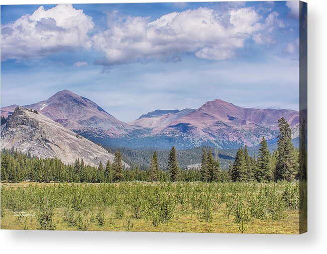 High Sierra Acrylic Print featuring the photograph Peaceful Afternoon by Bill Roberts