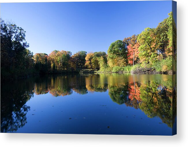 Dupage County Acrylic Print featuring the photograph Peaceful Autumn Lake In Illinois by Stevegeer