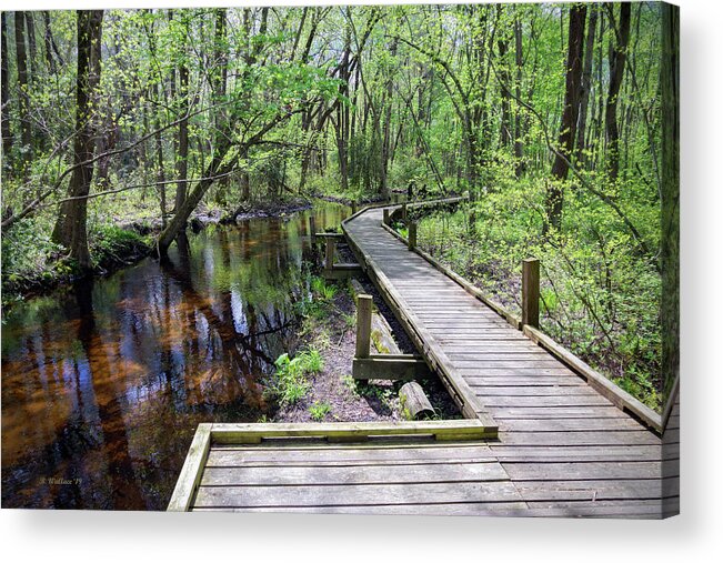 2d Acrylic Print featuring the photograph Peaceful Mill Stream by Brian Wallace