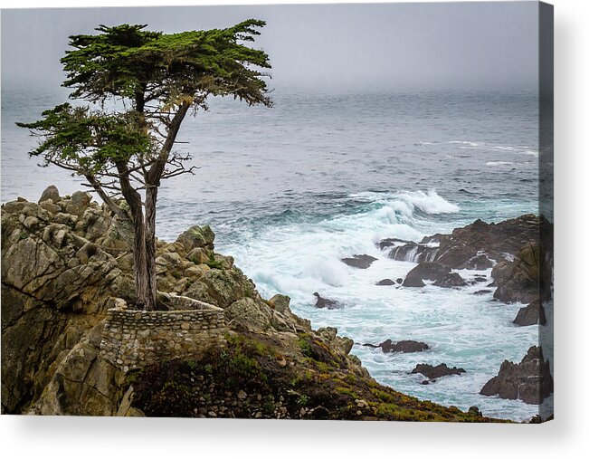 Art Acrylic Print featuring the photograph Pebble Beach by Gary Migues