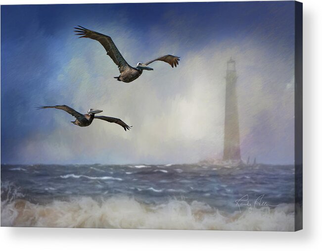 Pelicans Acrylic Print featuring the photograph Pelican Storm by Randall Allen