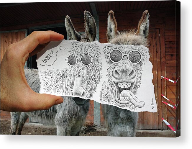 Pencil Vs Camera 12 - Funny Donkey Acrylic Print featuring the photograph Pencil Vs Camera 12 - Funny Donkey by Ben Heine