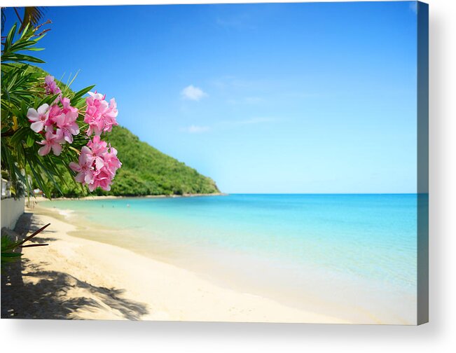 Eco Tourism Acrylic Print featuring the photograph Perfect Beach by Jaminwell