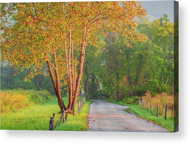 Cades Cove Acrylic Print featuring the photograph Perfect Light of a Sparks Lane Morning by Marcy Wielfaert