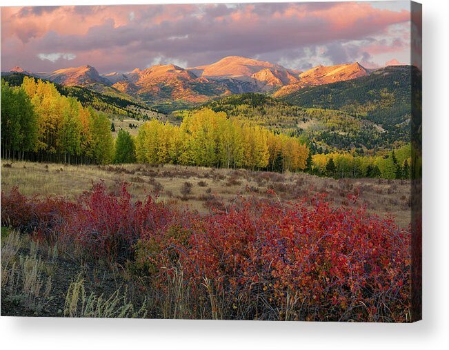Pikes Peak Acrylic Print featuring the photograph Pikes Peak - Autumn by Aaron Spong