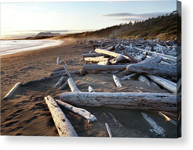 Scenics Acrylic Print featuring the photograph Piles Of Driftwood On Wickaninnish Bay by Aaron Black