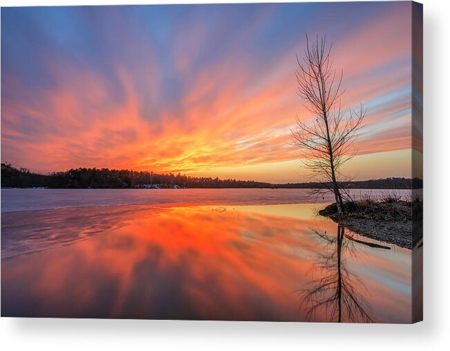 Horn Pond Acrylic Print featuring the photograph Pond Ablaze by Rob Davies