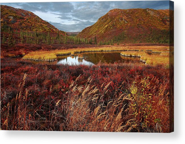 Scenics Acrylic Print featuring the photograph Pond Across From Wonder Lake by Image Courtesy Of Jeffrey D. Walters