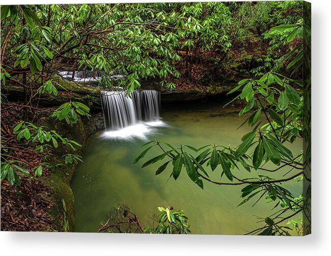 Creek Acrylic Print featuring the photograph Ponder Branch by Ulrich Burkhalter