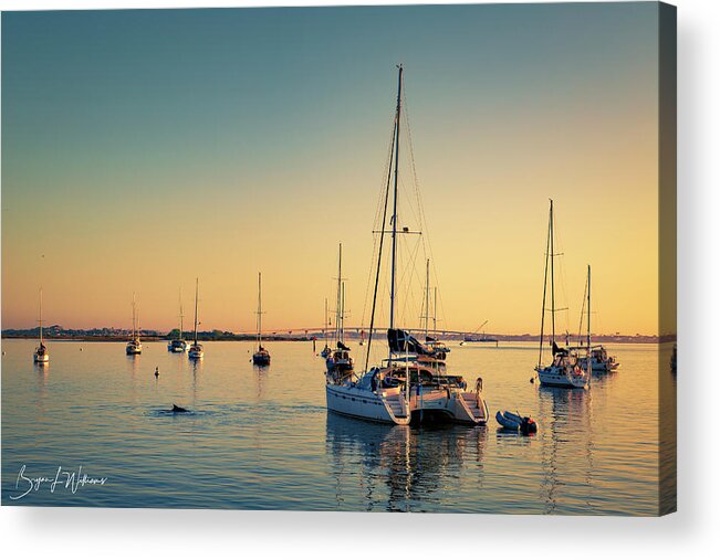 Dawn Acrylic Print featuring the photograph Porpoise at Dawn by Bryan Williams
