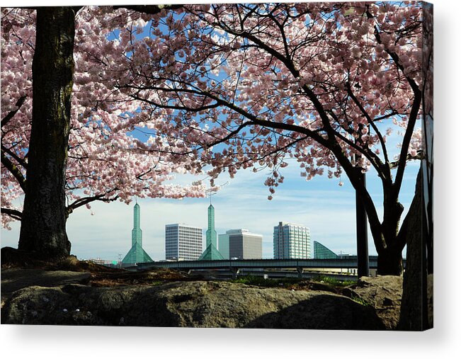 Built Structure Acrylic Print featuring the photograph Portland Cherry Trees by Davealan