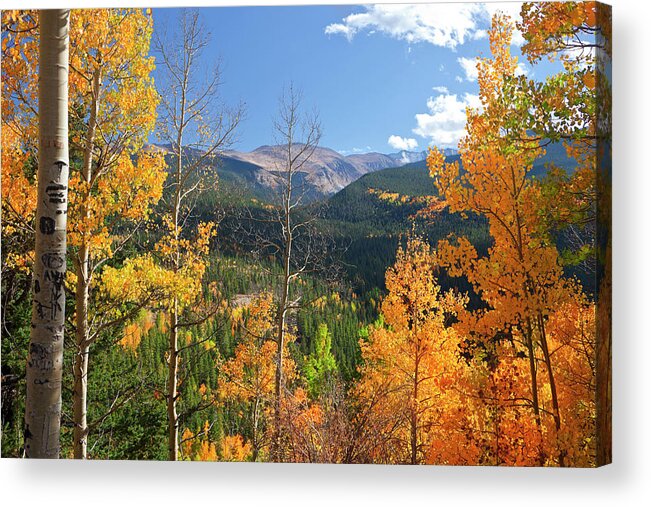 Scenics Acrylic Print featuring the photograph Portrait Of Colorado Landscape In Fall by Missing35mm