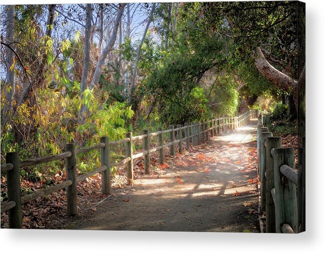 Path Acrylic Print featuring the photograph Pretty Path II by Alison Frank