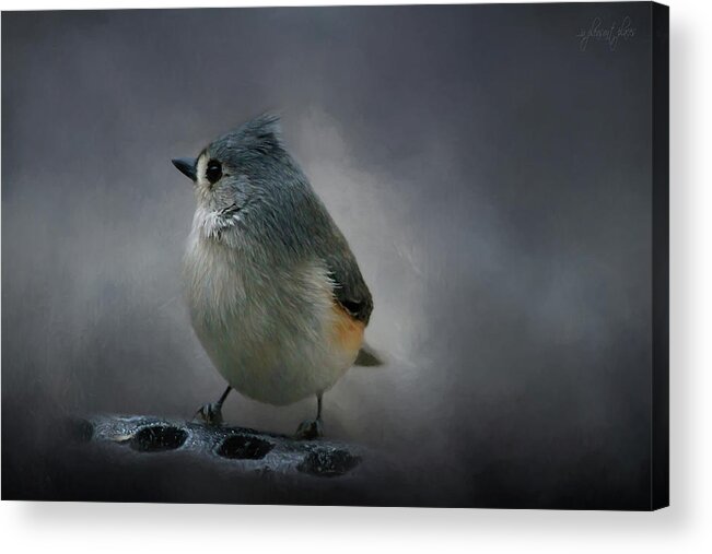 Tufted Acrylic Print featuring the digital art Profile by Joanna Kovalcsik