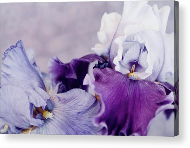 Flowers Acrylic Print featuring the digital art Purple Pleasures 0024 by Sherry Hallemeier