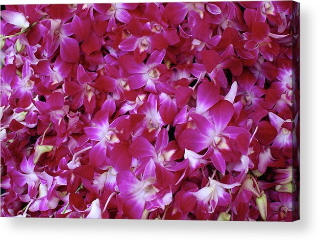 Southeast Asia Acrylic Print featuring the photograph Purple Orchids For Sale At Pak Khlong by Lonely Planet