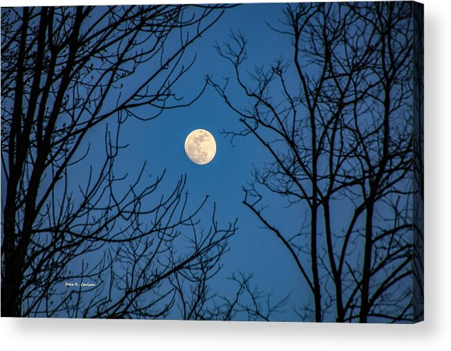 Moon Acrylic Print featuring the photograph Reaching for the Moon by Dale R Carlson