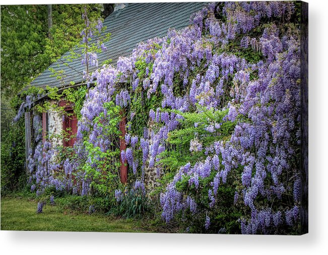 Pleasant Mills Acrylic Print featuring the photograph Reclaimed by Nature by Kristia Adams
