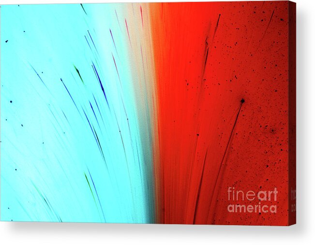 California Acrylic Print featuring the photograph Red And Blue Dyes Exploding In Liquid by Mimi Haddon