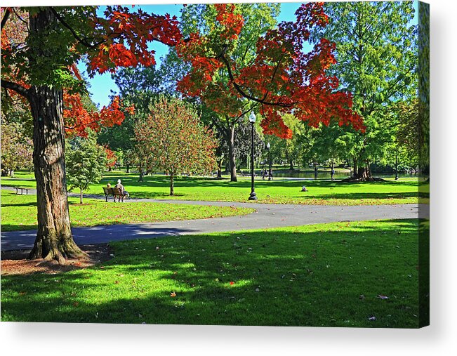Boston Acrylic Print featuring the photograph Red Autumn Tree in the Boston Public Garden Boston MA by Toby McGuire