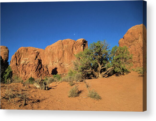 Utah Acrylic Print featuring the photograph Red rock, blue sky by Gaye Bentham