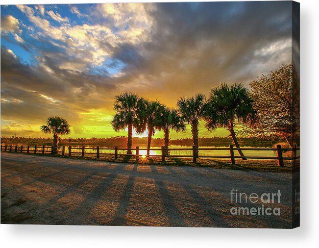 Sun Acrylic Print featuring the photograph Reflected Sunburst by Tom Claud
