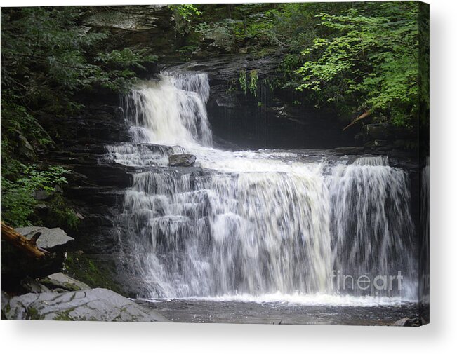Green Acrylic Print featuring the photograph Ricketts Glen Waterfall by Aicy Karbstein