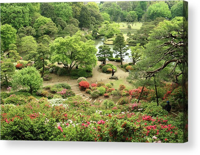 Scenics Acrylic Print featuring the photograph Rikugien Japanese Garden by Mura