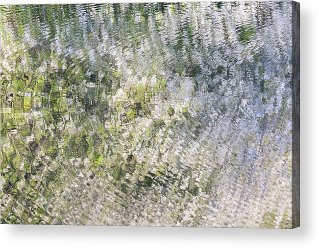 Ripples Acrylic Print featuring the photograph Ripples on the river with blossom reflections by Anita Nicholson