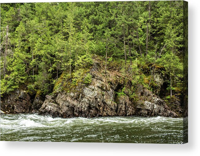 River Acrylic Print featuring the photograph River with trees by Julieta Belmont