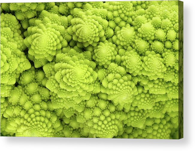 Broccoli Acrylic Print featuring the photograph Roman Cauliflower by Marcoventuriniautieri