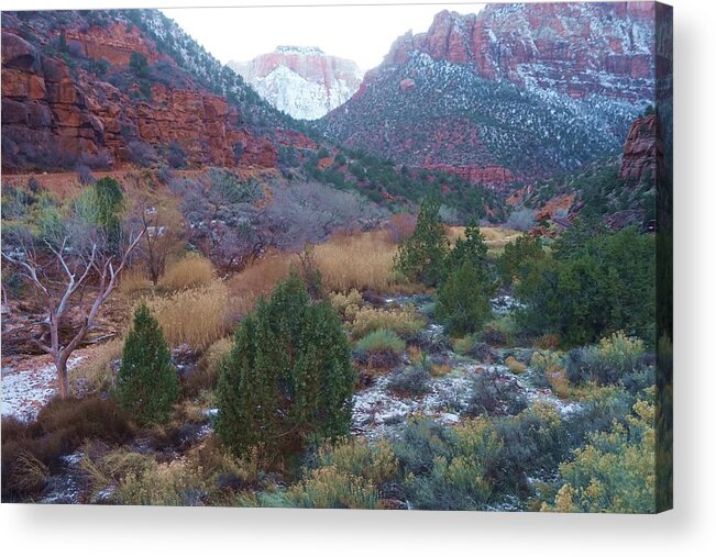 Zion Acrylic Print featuring the photograph Rushing Down by Fred Bailey