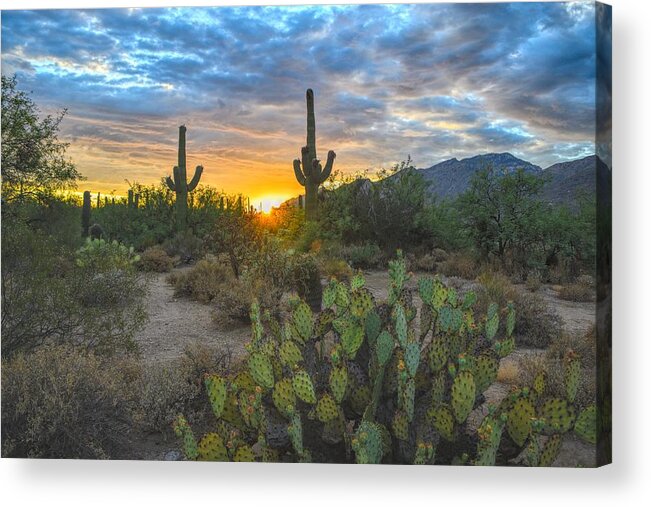 Sonoran Desert Acrylic Print featuring the photograph Sabino Canyon and Mount Kimball Sunset, Tucson, AZ by Chance Kafka