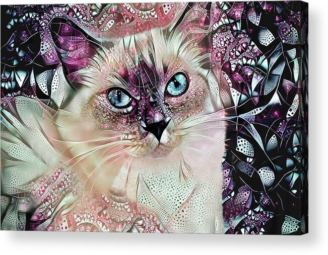 Ragdoll Cat Acrylic Print featuring the digital art Sadie the Ragdoll Cat by Peggy Collins