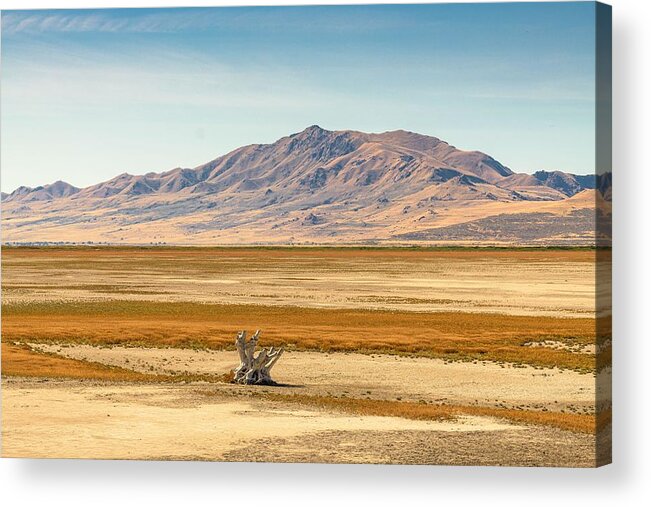 Landscape Acrylic Print featuring the photograph Salt Lake City, Utah, Usa Baren by Sean Pavone