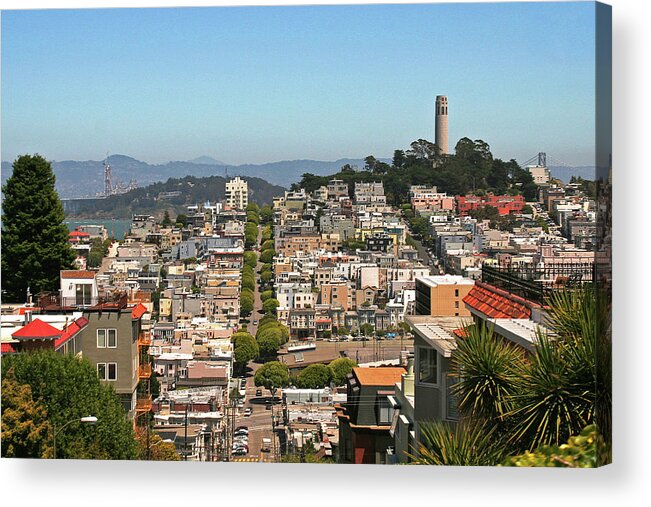 San Francisco Acrylic Print featuring the photograph San Francisco - Telegraph Hill by Richard Krebs