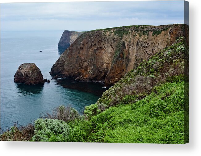 Channel Islands National Park Acrylic Print featuring the photograph Santa Cruz Island Bluff Trail by Kyle Hanson