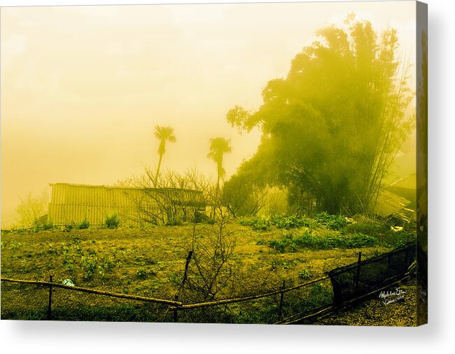 Sapa Vietnam Acrylic Print featuring the photograph Sapa Landscape, Vietnam by Madeline Ellis