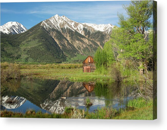 Sawatch Acrylic Print featuring the photograph Sawatch Cabin - Spring by Aaron Spong