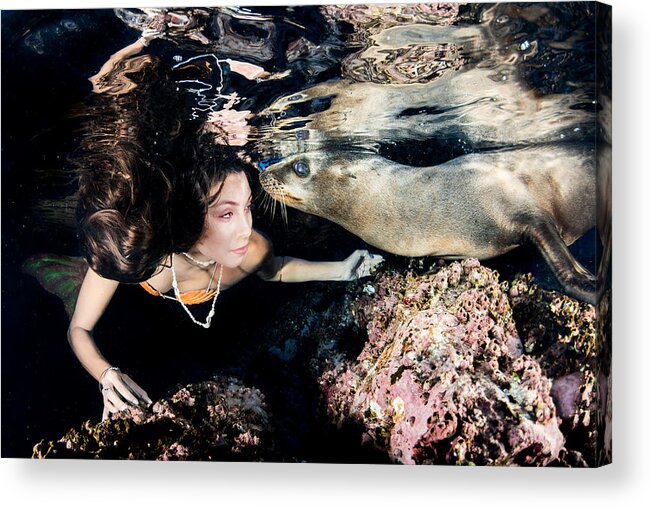 Sea Acrylic Print featuring the photograph Sea Lion And Mermaid by Andrea Izzotti