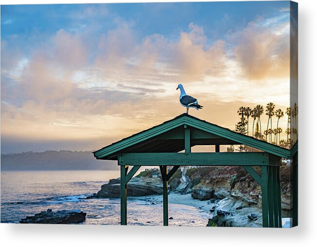 Local Snaps Photography Acrylic Print featuring the photograph Seagull welcomes the day by Local Snaps Photography