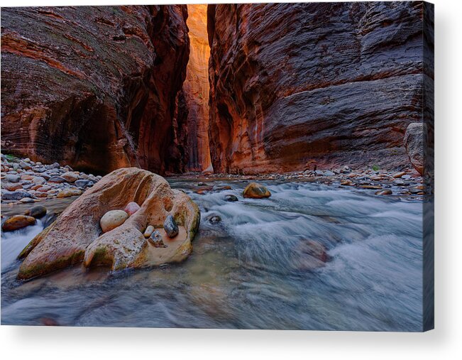 Zion Narrows Acrylic Print featuring the photograph Seeing The Light by Jonathan Davison